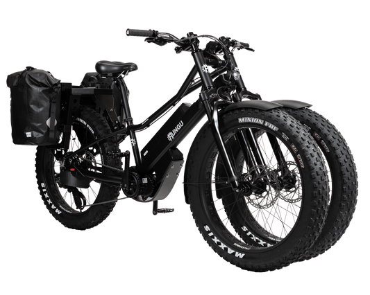 Rungu Dualie Rugged Off-Road, Class 1 Programming, Class 2 Programming Ebike