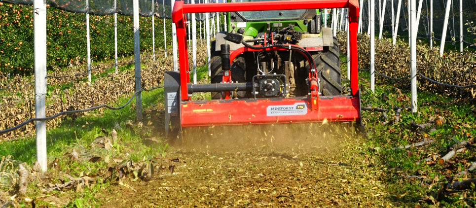 Seppi | 3PT Mulcher With Carbides | Model PTO Miniforst 200 | Working Width 79" Inches | Horsepower 80 To 110 HP | For Tractors