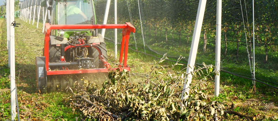Seppi | 3PT Mulcher With Carbides | Model PTO Miniforst 200 | Working Width 79" Inches | Horsepower 80 To 110 HP | For Tractors