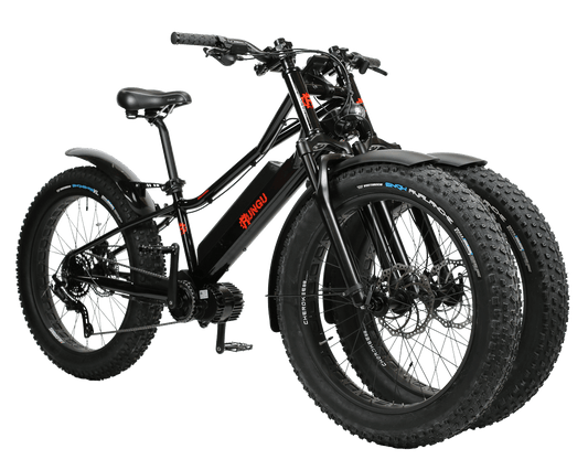 Rungu Dualie Standard Off-Road Ebike