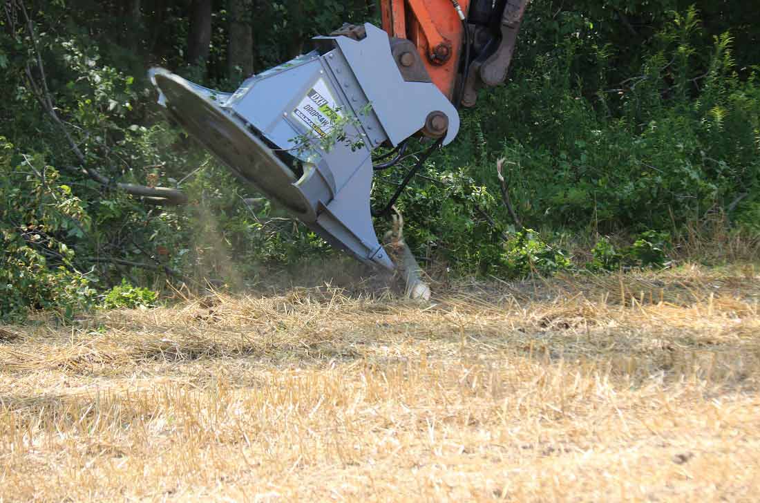 Baumalight Tree Saw | Model DXA530 & DXH752 | Blade Diameter 30" & 52" | Machine Size 4 To 22 Tons | For Excavators
