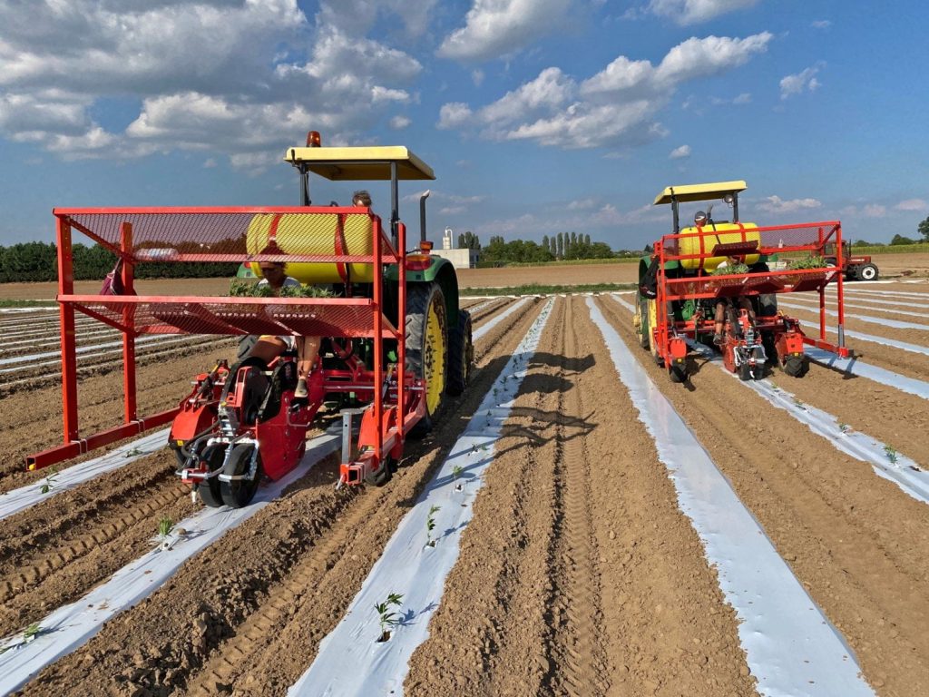 Checchi & Magli Transplanter WOLFPRO Compact | 2-6 Rows | 79"-138" Frame Width | 30-85 HP For Tractor