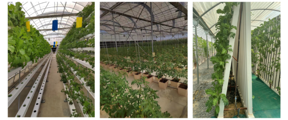 Lyine Hydroponic Fodder Container Farming System | Model LY-DM500, LYJ-DM1000 & LY-DM1500