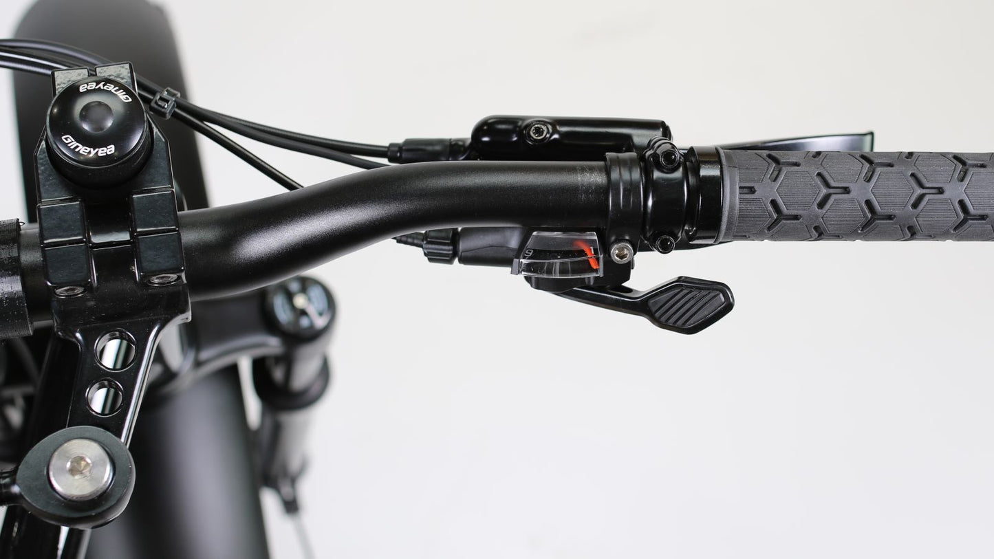 Rungu Dualie XR Steep Off-Road, Class 1 Programming, Class 2 Programming Ebike