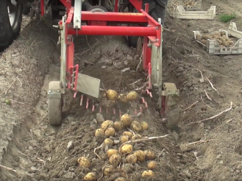 Checchi & Magli The Potato Digger SP50V |30" & 63" Working Width | 15 HP For Tractor
