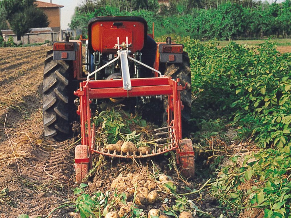 Checchi & Magli The Potato Digger SP50V |30" & 63" Working Width | 15 HP For Tractor