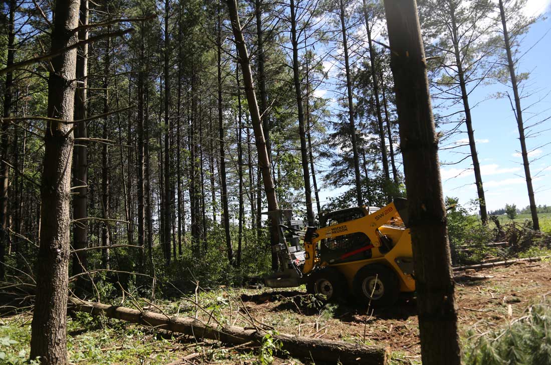 Baumalight Feller Buncher Tree Saw | Model FBS-752 | Blade Diameter 52" | Maximum Cut 20" | Hydraulic Flow 20 To 25 GPM | For Skid Steers