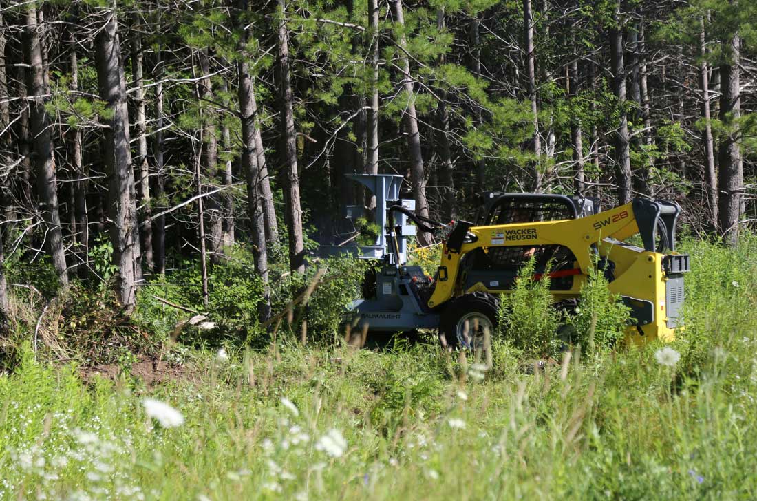 Baumalight Feller Buncher Tree Saw | Model FBS-752 | Blade Diameter 52" | Maximum Cut 20" | Hydraulic Flow 20 To 25 GPM | For Skid Steers