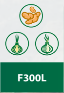 Checchi & Magli F300L The Semi-Automatic Potato Seeder | 1-4 Rows | 59"-126" Frame Width | 15-30HP For Tractor