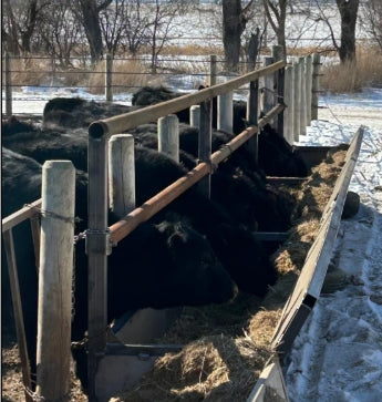 Palco Fenceline Bottomless Feedbunks | Size 30' | Heavy-Duty | Adjustable Neck Rail | Cattle & Calf