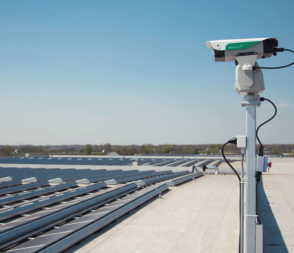 Bird Control Group | Autonomic Bird Laser System | Automated Pest Control