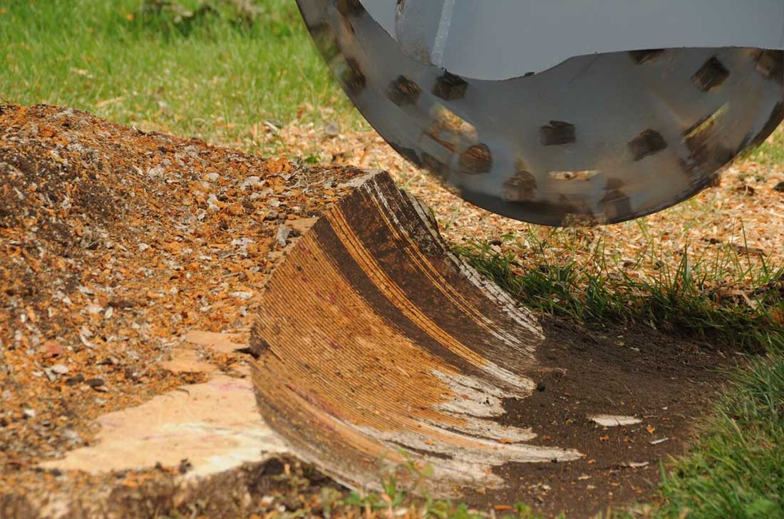 Baumalight | 3 Point Hitch Stump Grinder | 3P34 | 34" Rotor | 50-80 HP | For Tractor