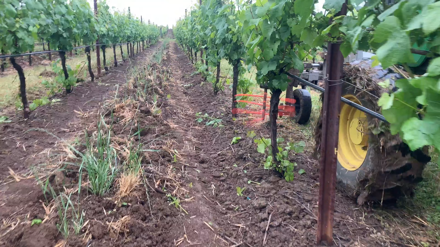Agrishield Vineyard Sucker Remover | Width 72" | Horsepower 40-80 HP | For Tractors