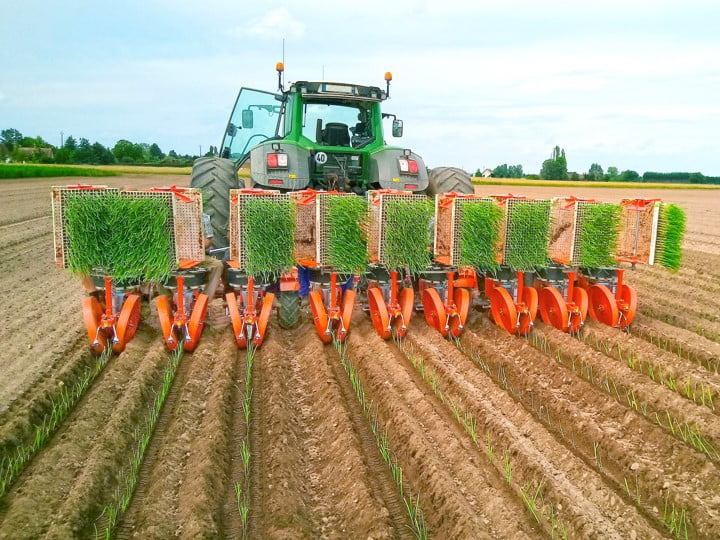 Checchi & Magli Transplanter TRIUM45 | 1-9 Rows | 79"-217" Frame Width | 19-95HP For Tractor