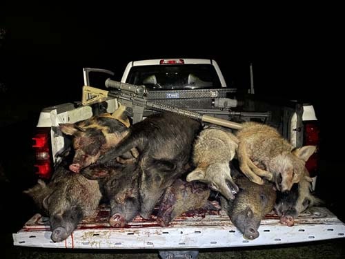 Florida Hog Hunting Trip - Private Land