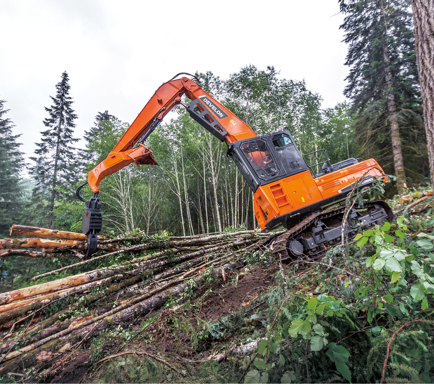 Develon | Log Loader | Model DX380LL-5 | Reach 43' 4" | Loading Height 38' 5" | 312.5 hp | 56.8 Tons | For Forestry, Road Building & Heavy Log Handling