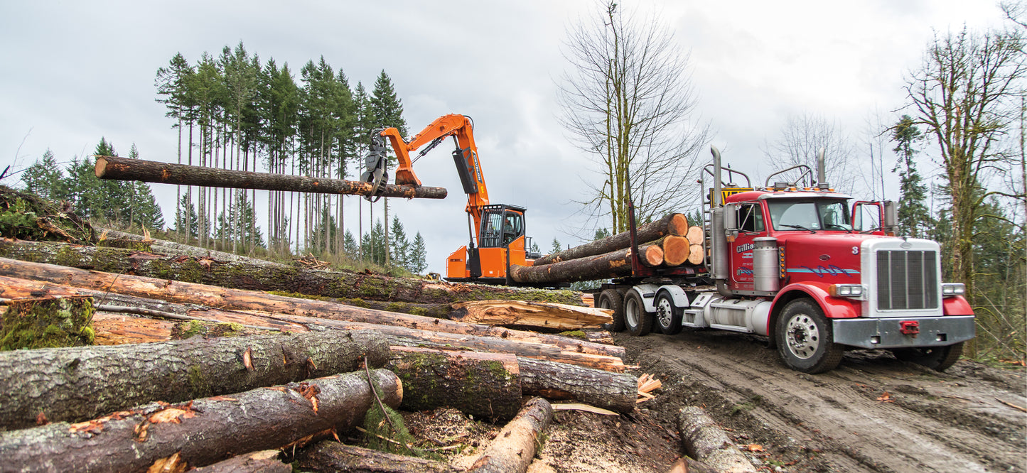 Develon | Log Loader | Model DX300LL-5 | Reach 37' 2" | Loading Height 28' 8" | 266.5 hp | 41 Tons | For Precision Forestry & Road Building