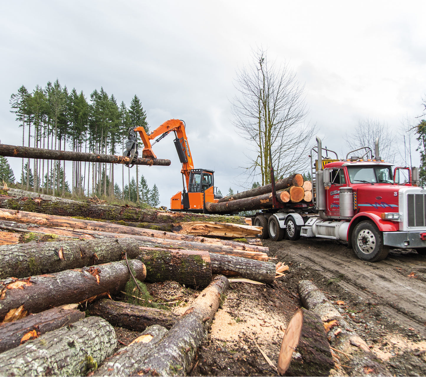 Develon | Log Loader | Model DX300LL-5 | Reach 37' 2" | Loading Height 28' 8" | 266.5 hp | 41 Tons | For Precision Forestry & Road Building