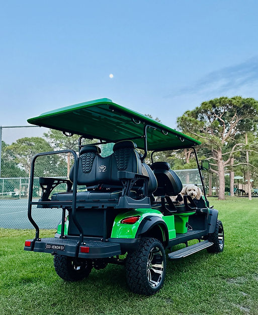 Venom EV The "D" Model |48V FJ Controller | 100aH Litium | Golf Cart