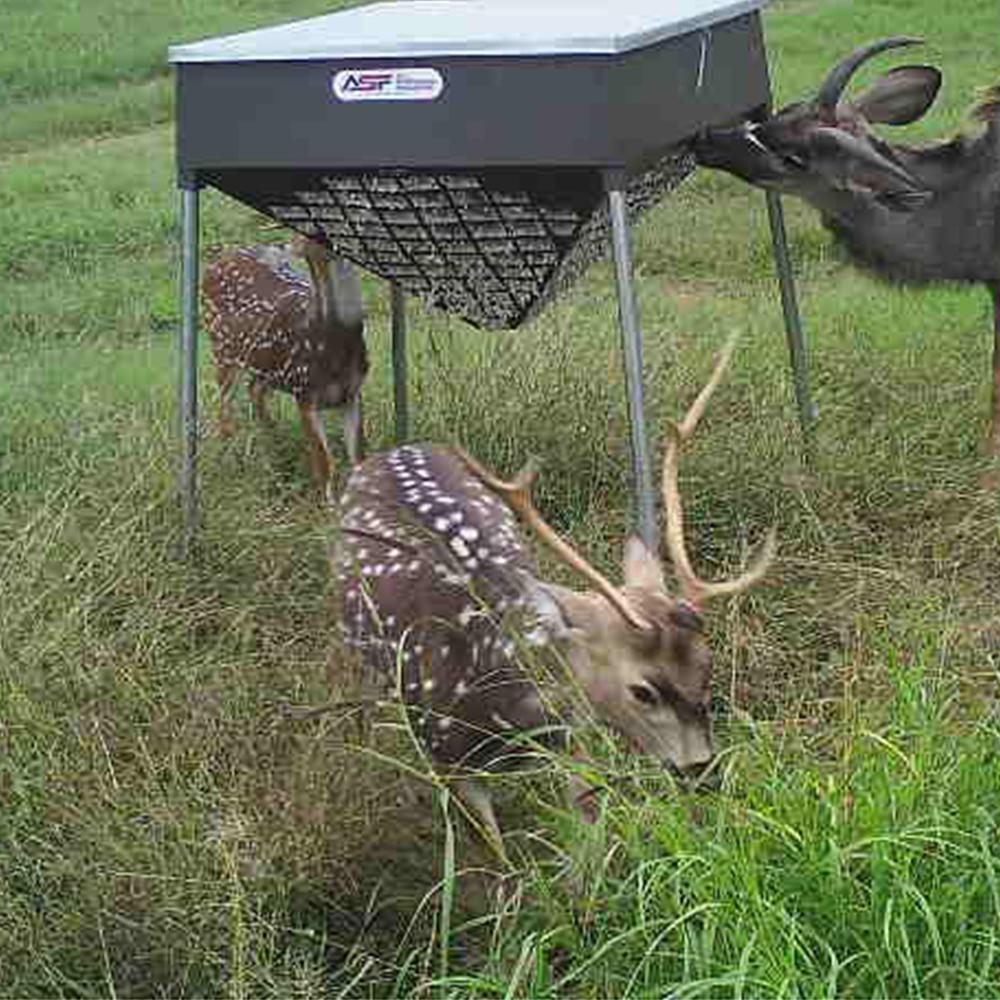 ASF Cottonseed Feeder for Deer & Cattle | Capacity 500lb & 1,000lb | Width 46" & 59" inches