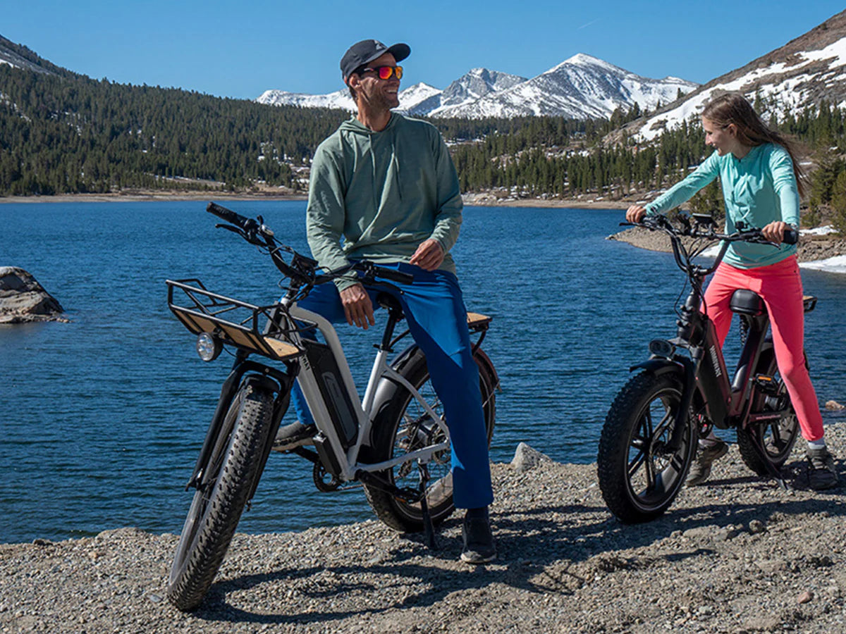 Himiway D3 ST (Cruiser ST) | All Terrain Step Thru Electric Bike | 750W Brushless Gear Motor | LCD Display With USB Charging