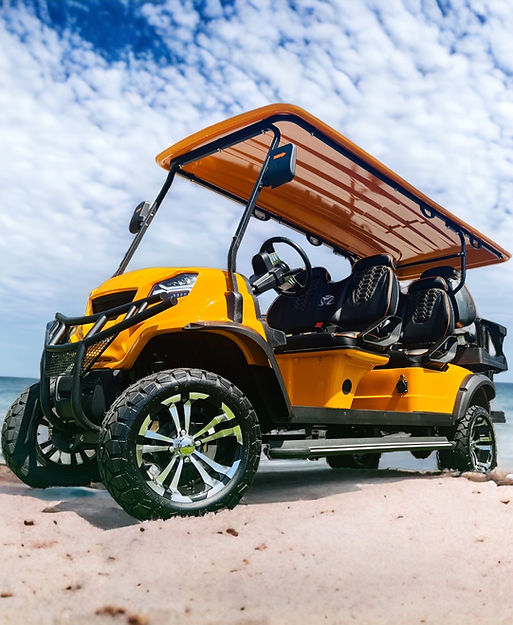 Venom EV The "D" Model |48V FJ Controller | 100aH Litium | Golf Cart