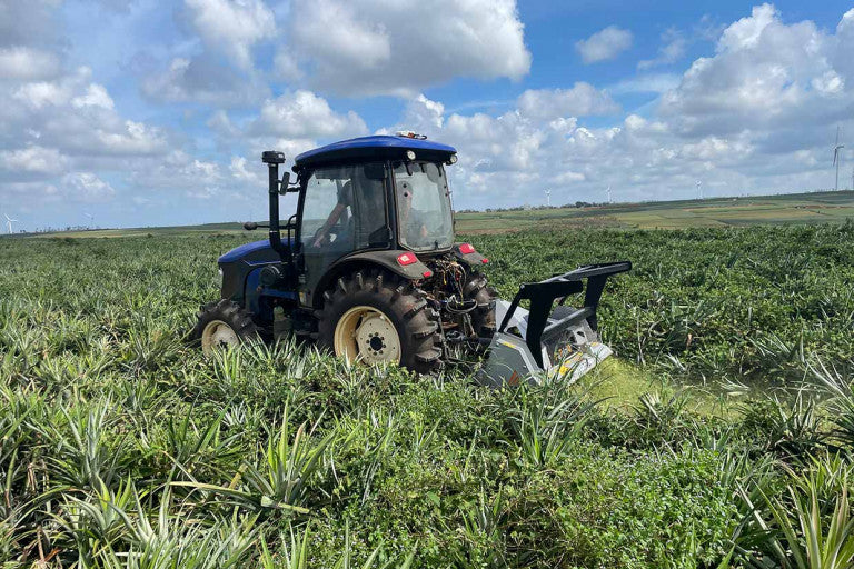 FAE | Patrizio Mulcher | Model 150 To 200 | Width 58" to 77" | Shreds Up to 6" Inches Diameter | Bite Limiter Rotor | Horsepower 50–100 HP | For Tractors