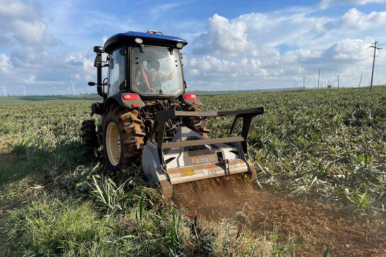FAE | Patrizio Mulcher | Model 150 To 200 | Width 58" to 77" | Shreds Up to 6" Inches Diameter | Bite Limiter Rotor | Horsepower 50–100 HP | For Tractors