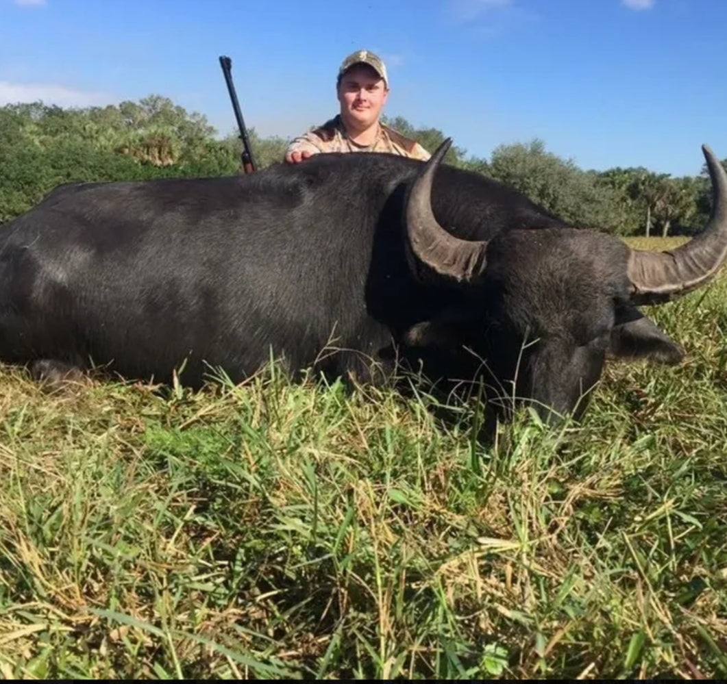 Florida Asian Water Buffalo Hunting Trip