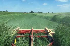I&J Roller Crimpers | 40 ft. Cover Crop Roller Mounted on a Harmes Trailed Frame | Model 940 | 150 HP | Pull Type | For Tractors
