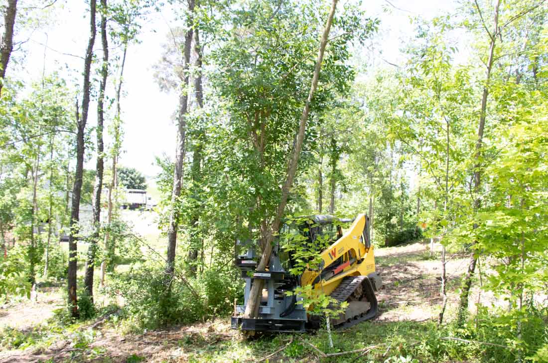 Baumalight Tree Shear With Buncher | Model ISH/ISR Series | Limb Cutting Size 10" & 12" | Hydraulic Flow 10 To 60 GPM | For Skid Steers