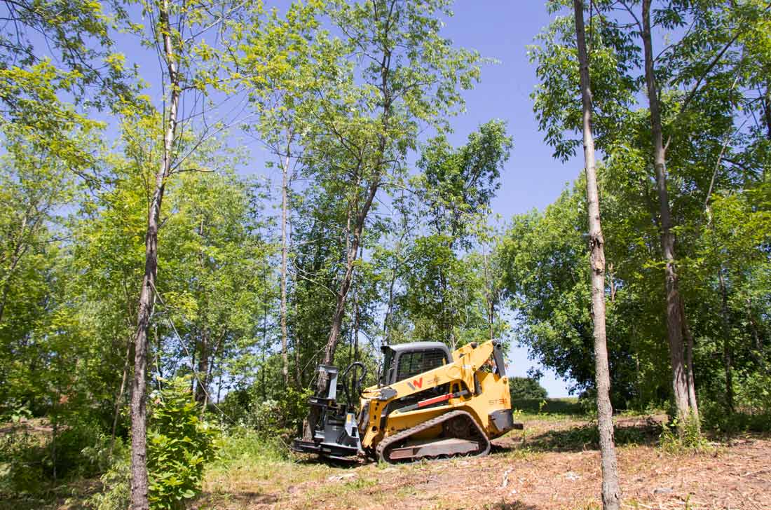 Baumalight Tree Shear With Buncher | Model ISH/ISR Series | Limb Cutting Size 10" & 12" | Hydraulic Flow 10 To 60 GPM | For Skid Steers