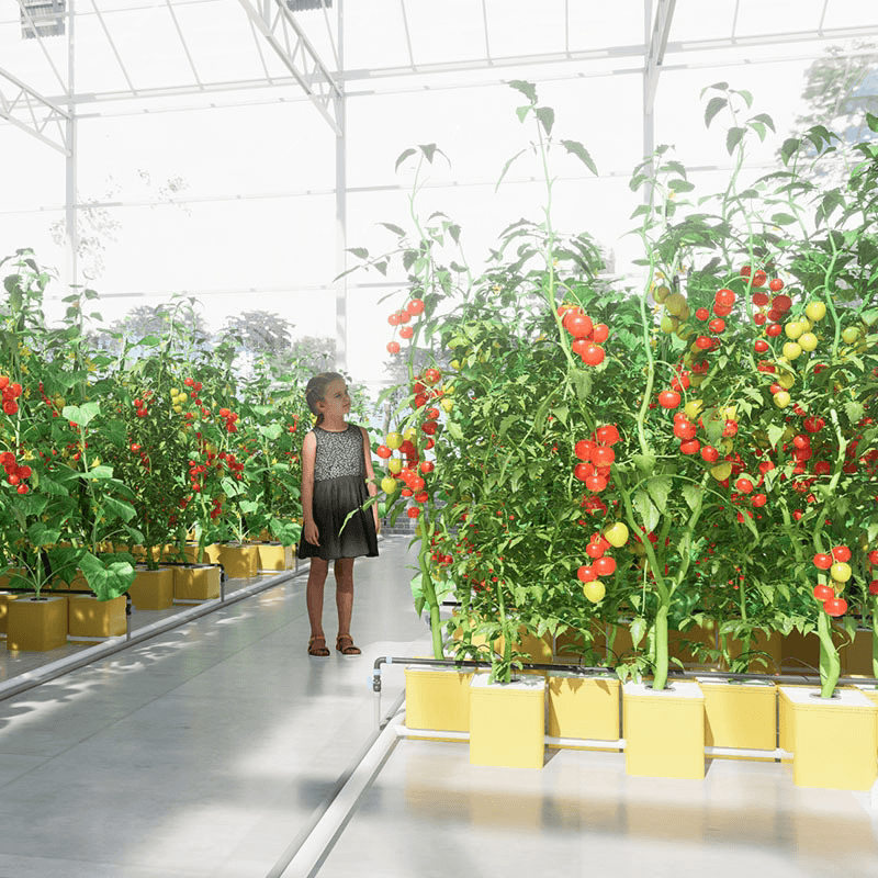 Lyine Dutch Bucket System - Hydroponic Growing System | 90x90x73 CM