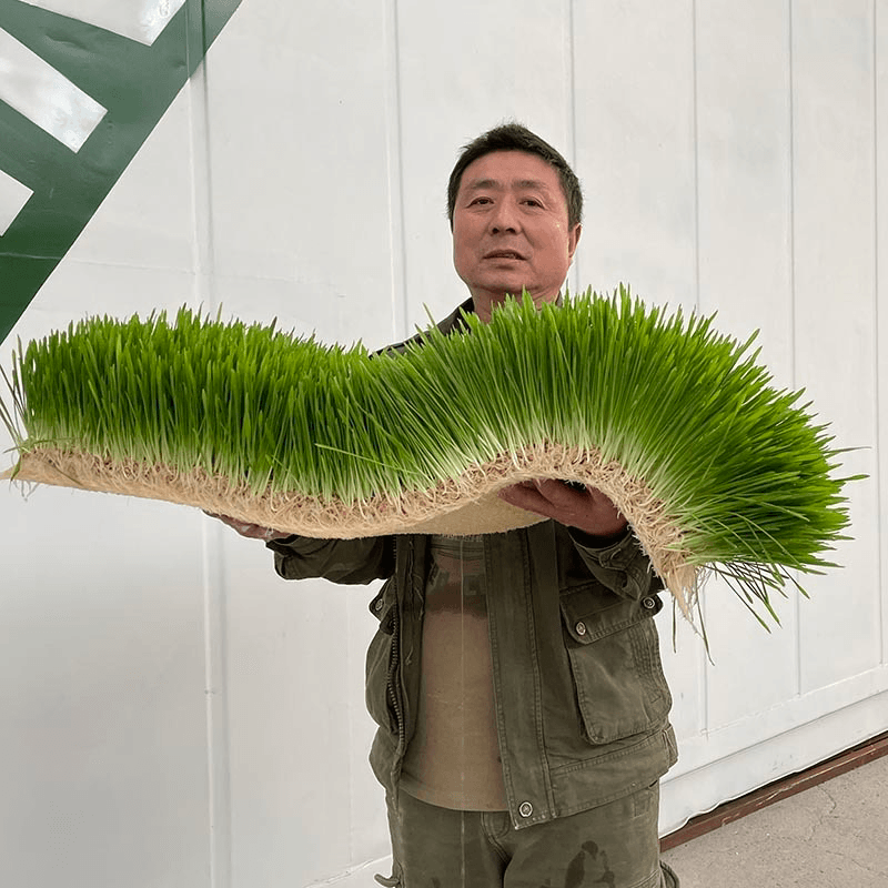 Lyine Hydroponic Fodder Container Farming System | Model LY-DM500, LYJ-DM1000 & LY-DM1500