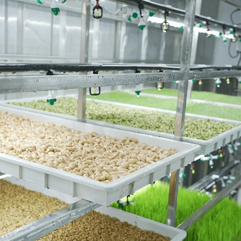Lyine Hydroponic Fodder Container Farming System | Model LY-DM500, LYJ-DM1000 & LY-DM1500