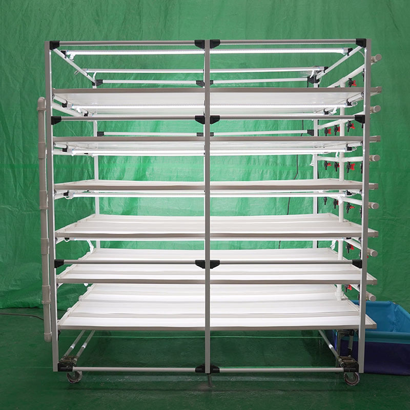 Lyine 6-2 Hydroponic Rack System with LED Light - Hydroponics Growing System |200 * W135* H190 |4 Trays x 6 Layers