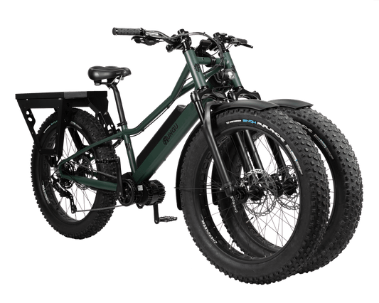 Rungu Dualie Steep Ebike