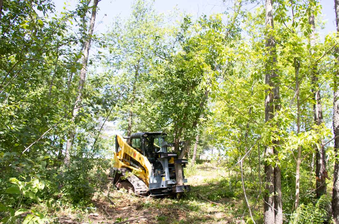 Baumalight Tree Shear With Buncher | Model ISH/ISR Series | Limb Cutting Size 10" & 12" | Hydraulic Flow 10 To 60 GPM | For Skid Steers