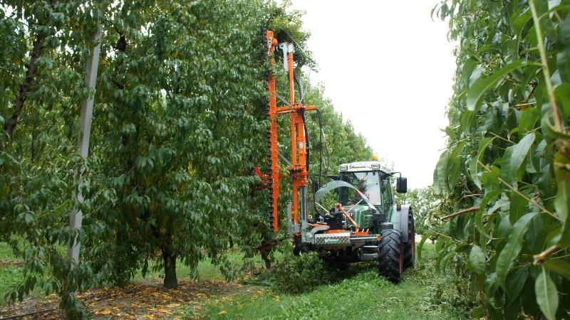 Rinieri Pruning Machine with Discs CRF-X Series | 16" Disc Diameter | 79-140" Cutting Width for Tractor