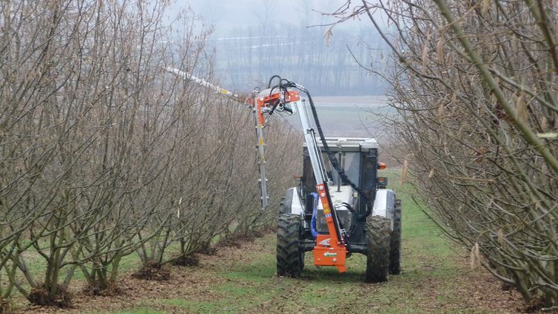 Rinieri Orchard Pruner | ORSL Series | Working Width 98" To 118" inches | Horsepower 50-80 HP | For Tractor