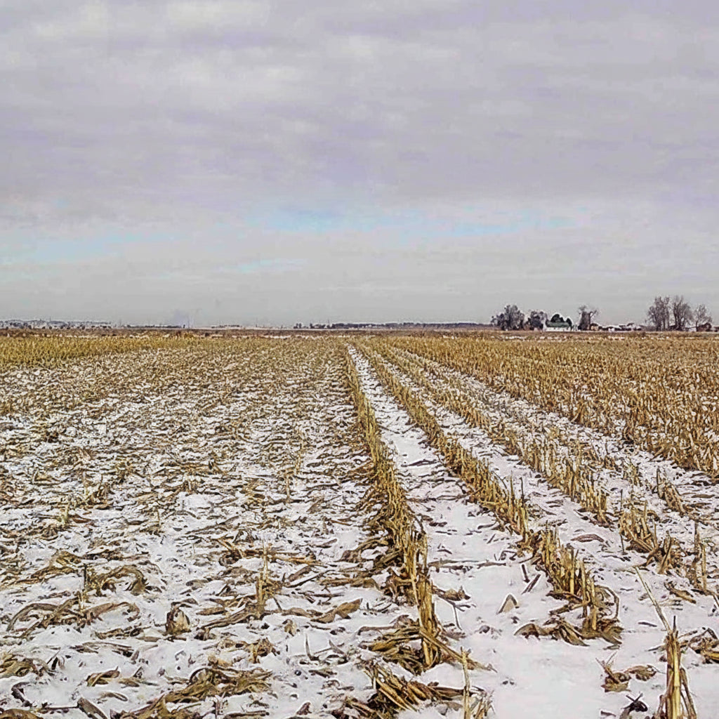 Sharp Harvest Rezidue Reaper | Corn Head Residue Management Attachment | Width 4.5" | 0.5 To 1 HP | For John Deere Corn Heads