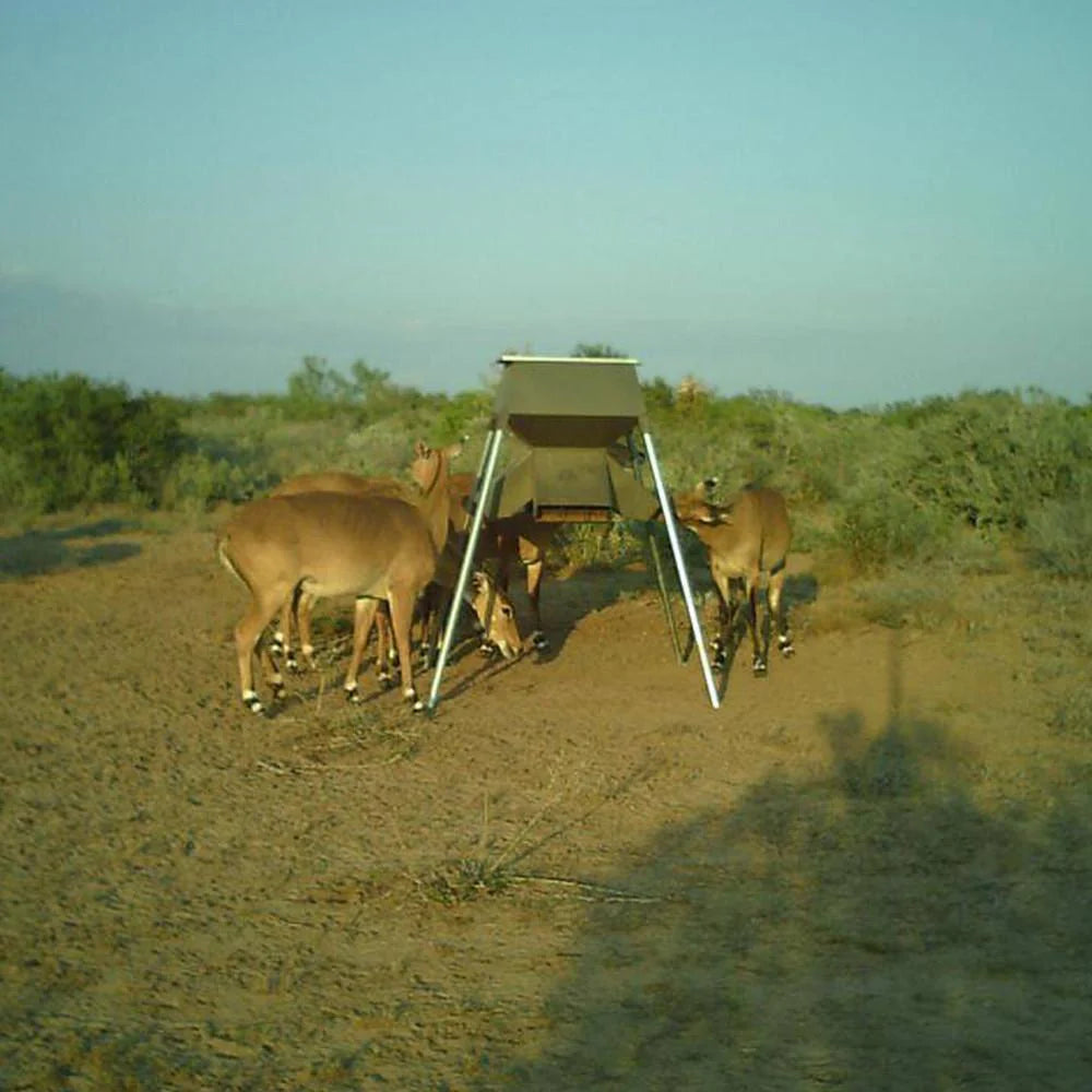 ASF Stand & Fill® Protein Feeder | Capacity 500lb | Width 54" inches