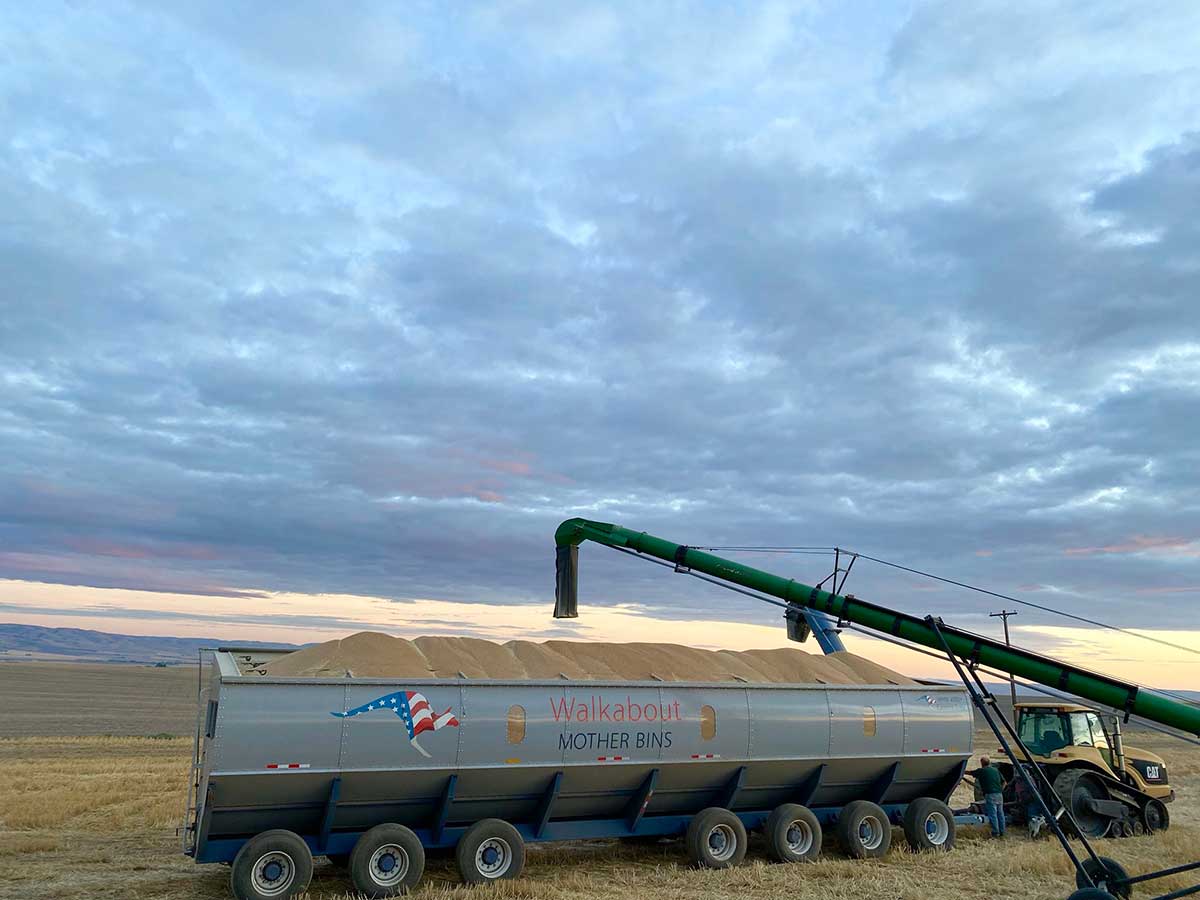 Walkbout Mother Bins 4000+ Eastern Grey and 6000+ Big Red | For Tractor