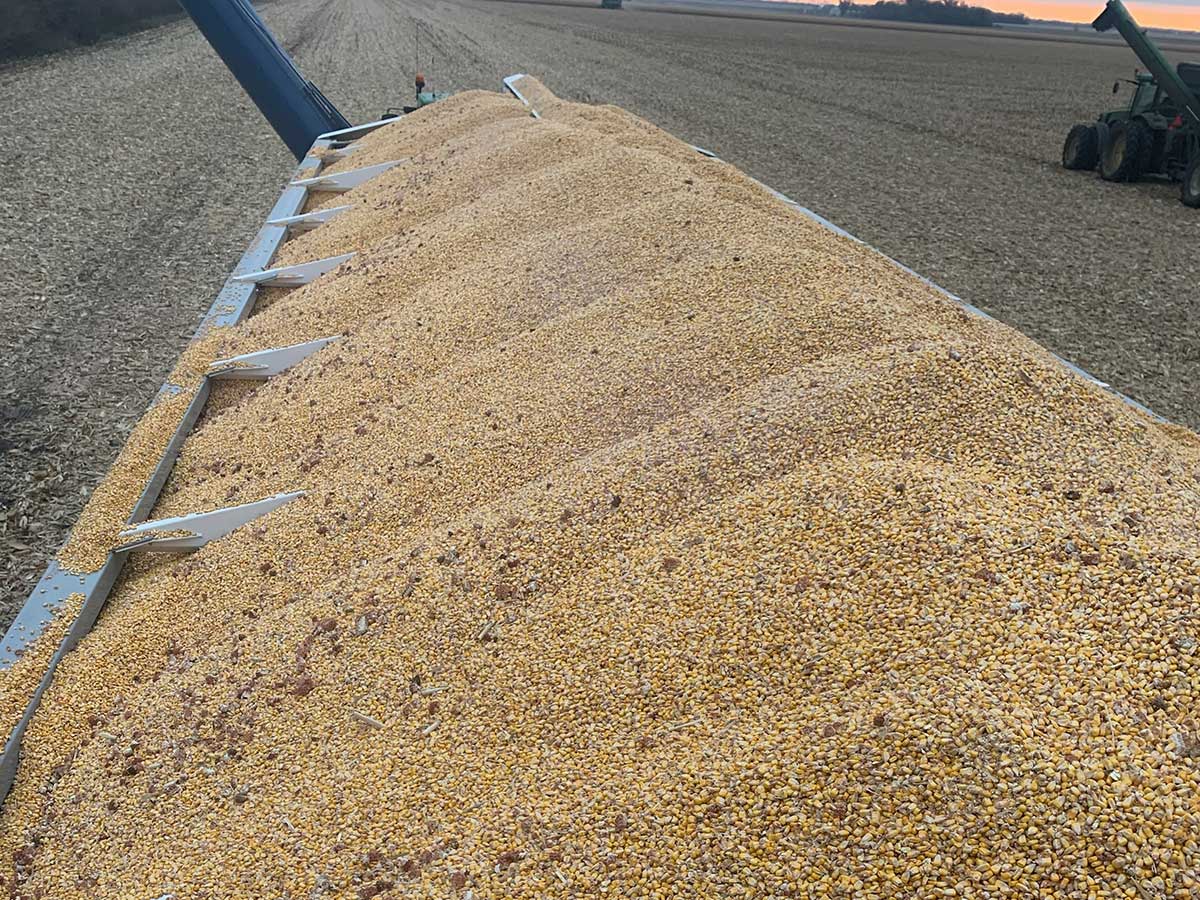 Walkbout Mother Bins 4000+ Eastern Grey and 6000+ Big Red | For Tractor