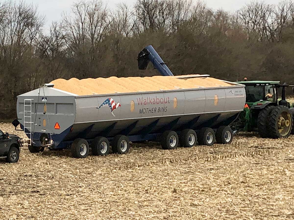 Walkbout Mother Bins 4000+ Eastern Grey and 6000+ Big Red | For Tractor