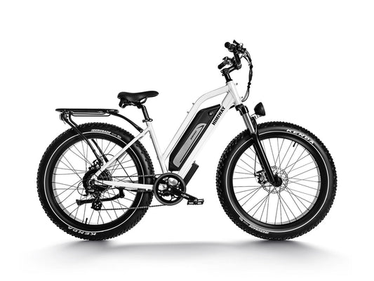 Himiway D3 Cruiser Series | D3 Cruiser & D3 ST Cruiser | Motor Type 750W