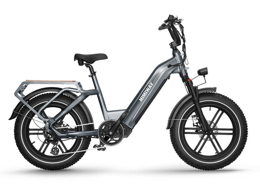 HIMIWAY Big Dog Electric Cargo Bike | 750W Motor | 48V 20Ah