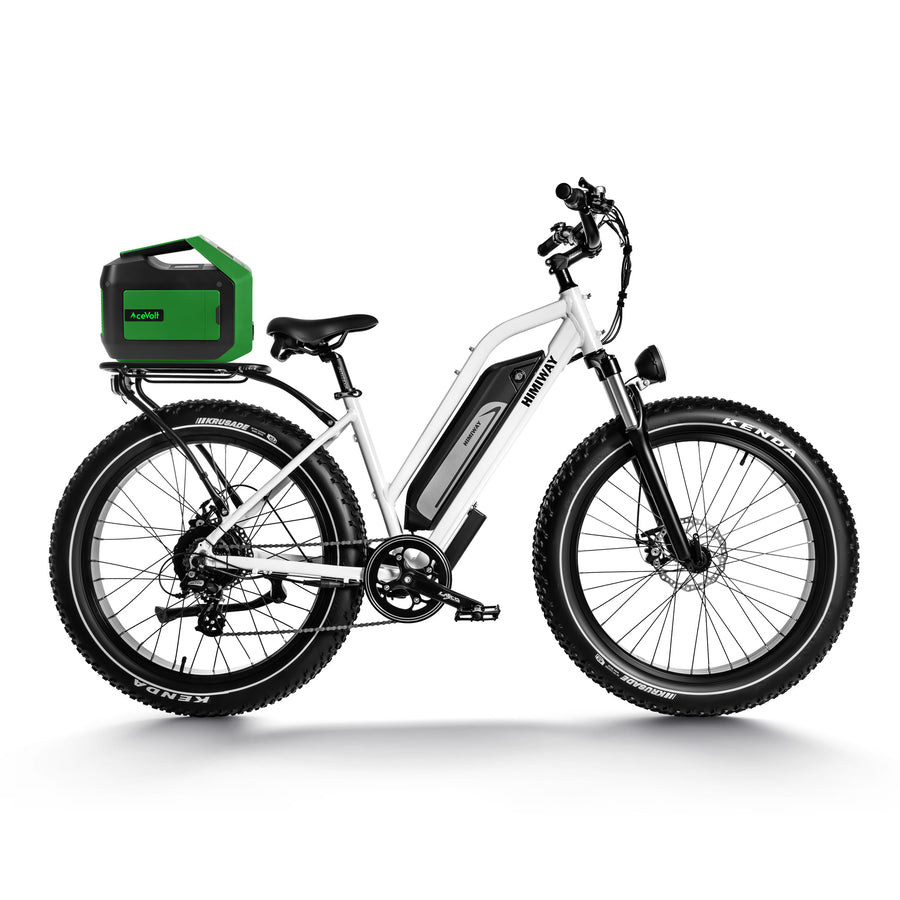 Himiway D3 Cruiser Series | D3 Cruiser & D3 ST Cruiser | Motor Type 750W
