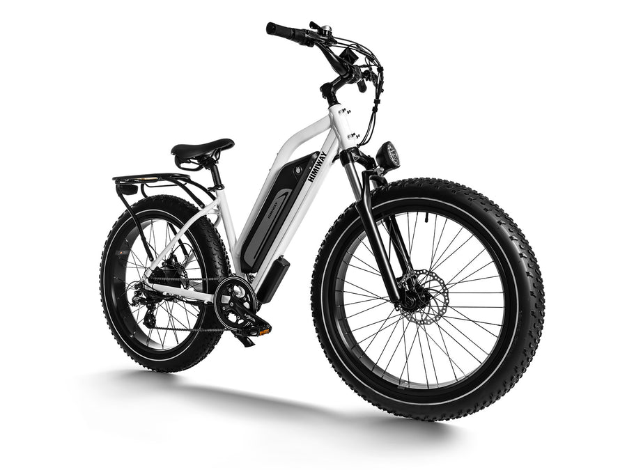 Himiway D3 Cruiser Series | D3 Cruiser & D3 ST Cruiser | Motor Type 750W