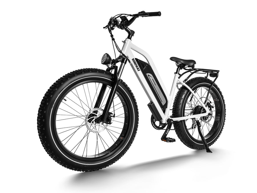 Himiway D3 Cruiser Series | D3 Cruiser & D3 ST Cruiser | Motor Type 750W
